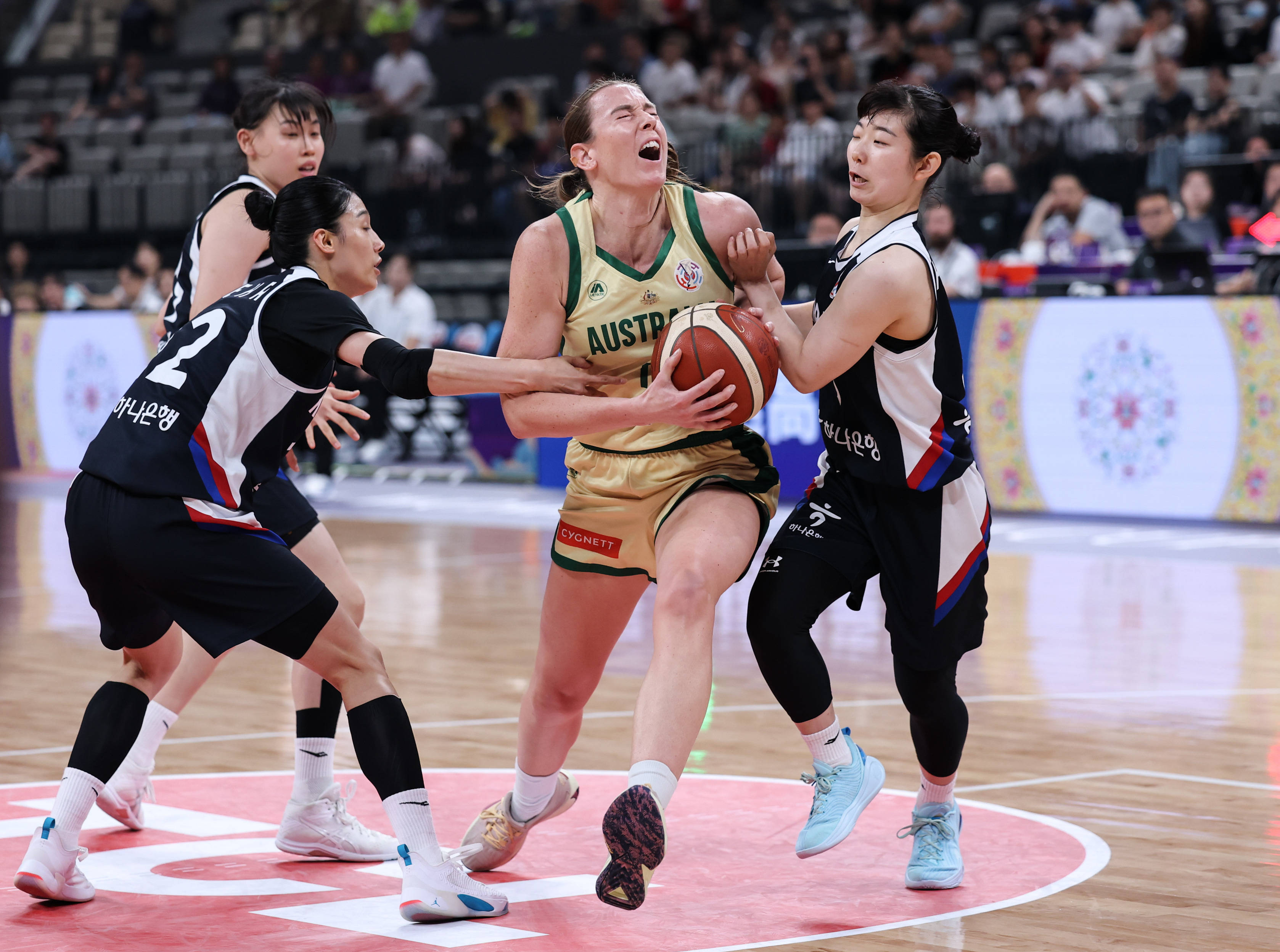 关于韩国队战胜澳大利亚队获得亚洲杯冠军的信息 关于韩国队战胜澳大利亚队获得亚洲杯冠军的信息